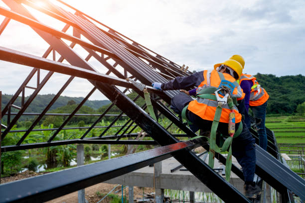 Best Commercial Roofing Services  in Level Plains, AL