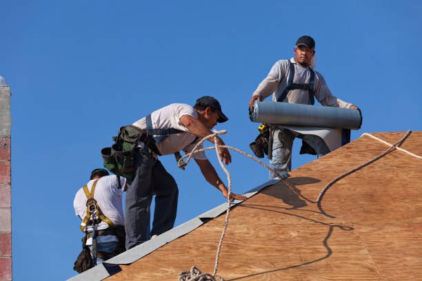 Quick and Trustworthy Emergency Roof Repair Services in Level Plains, AL