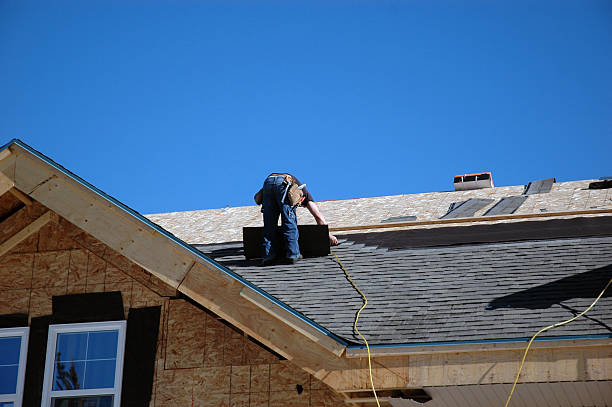 Best Roof Leak Repair  in Level Plains, AL