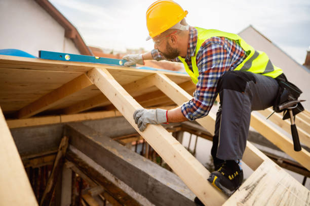 Best New Roof Installation  in Level Plains, AL