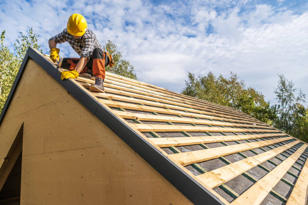 Roof Waterproofing Services in Level Plains, AL