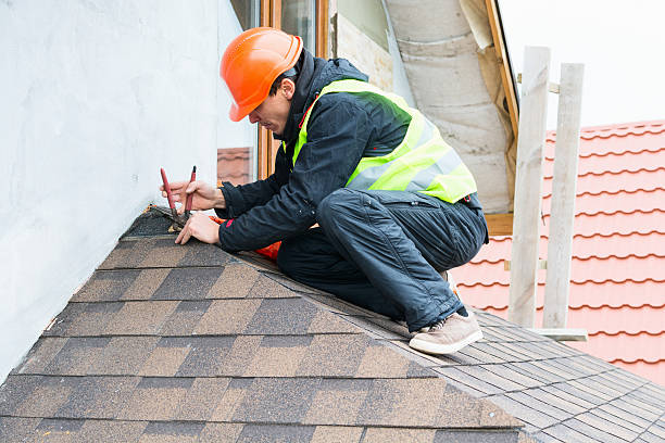 Best Storm Damage Roof Repair  in Level Plains, AL