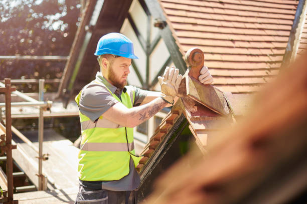 Best Residential Roofing Contractor  in Level Plains, AL